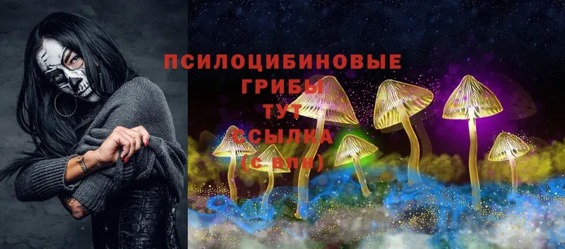 Псилоцибиновые грибы Cubensis  Сим 